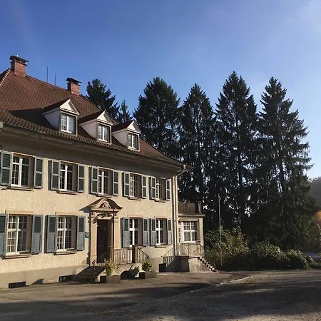 Apartment Waidhof Ferienwohnung Inzlingen